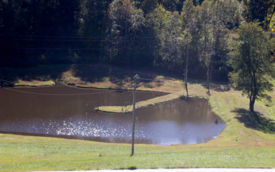 Building A Lake